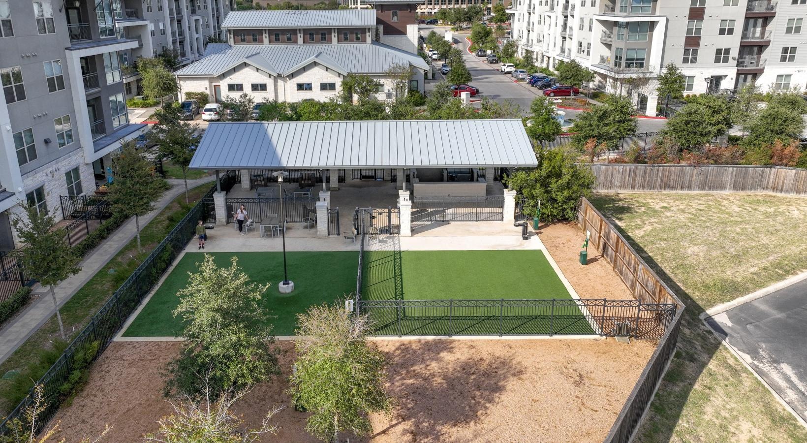 We love our furry friends a tennis court in a city