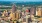 a sity skyline